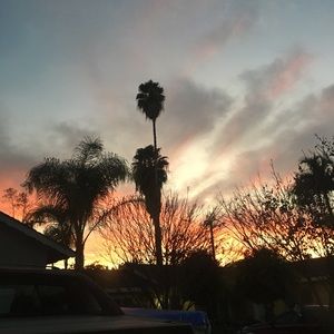 Meet your Posher, Angelo